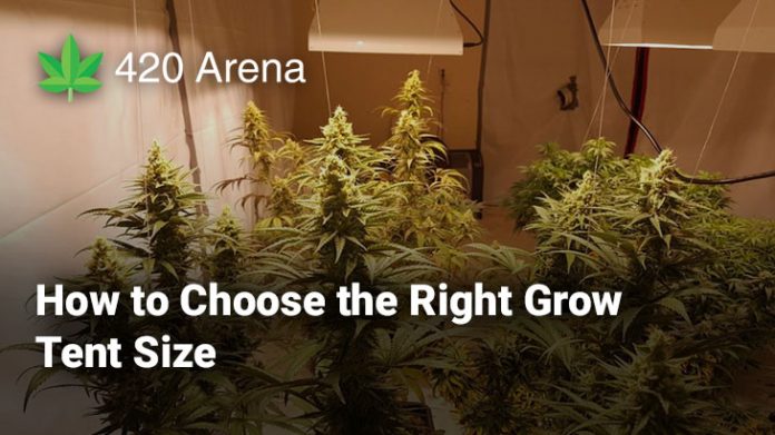 How to Choose the Right Grow Tent Size