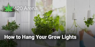 How to Hang Your Grow Lights