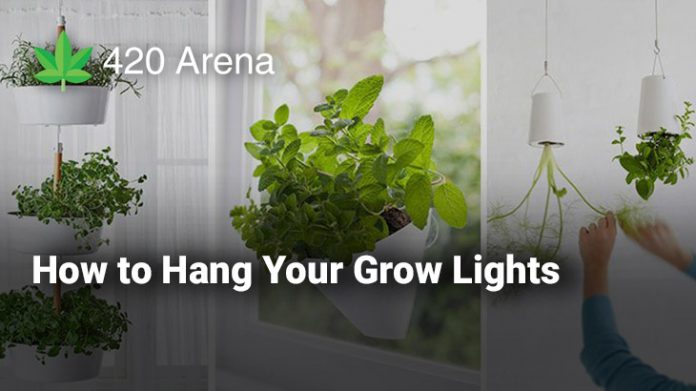 How to Hang Your Grow Lights