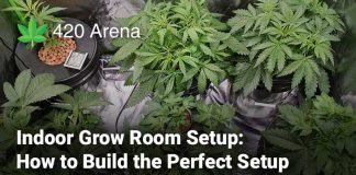 Indoor Grow Room Setup How to Build the Perfect Setup