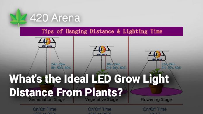 What's the Ideal LED Grow Light Distance From Plants
