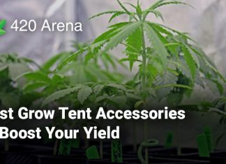 Best Grow Tent Accessories to Boost Your Yield
