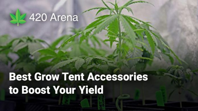 Best Grow Tent Accessories to Boost Your Yield