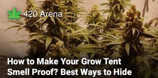 How to Make Your Grow Tent