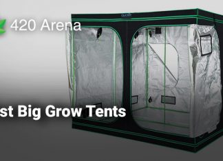 Best Big Grow Tents