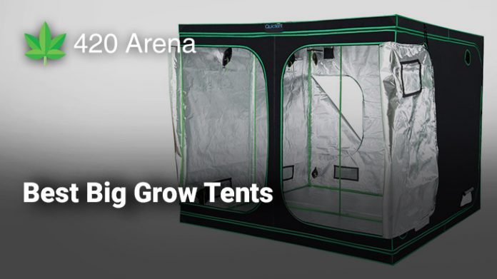 Best Big Grow Tents