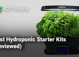 Best Hydroponic Starter Kits