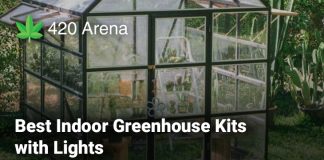 Best Indoor Greenhouse Kits with Lights