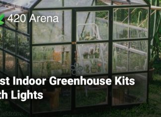 Best Indoor Greenhouse Kits with Lights
