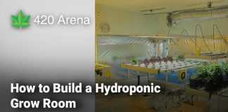 How to Build a Hydroponic Grow Room