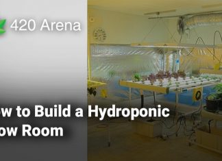 How to Build a Hydroponic Grow Room