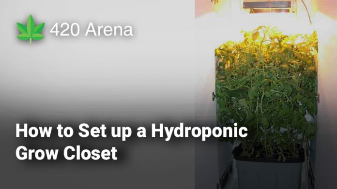 How to Set up a Hydroponic Grow Closet