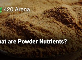 What are Powder Nutrients