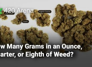 How Many Grams in an Ounce, Quarter, or Eighth of Weed