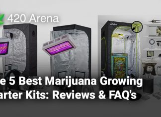 The 5 Best Marijuana Growing Starter Kits