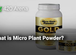 What is Micro Plant Powder