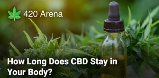 How Long Does CBD Stay in Your Body