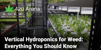 Vertical Hydroponics for Weed Everything You Should Know