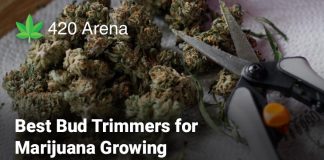 Best Bud Trimmers for Marijuana Growing