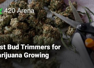 Best Bud Trimmers for Marijuana Growing