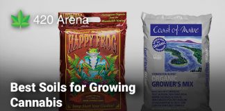 Best Soils for Growing Cannabis