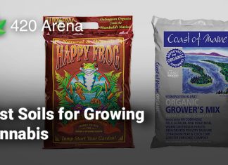 Best Soils for Growing Cannabis