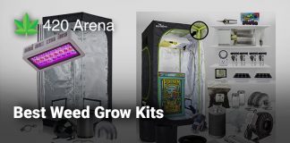 Best Weed Grow Kits