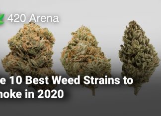 Best Weed Strains
