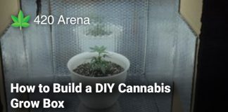 How to Build a DIY Cannabis Grow Box