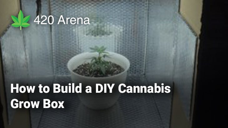 How To Build A Diy Cannabis Grow Box 420 Arena