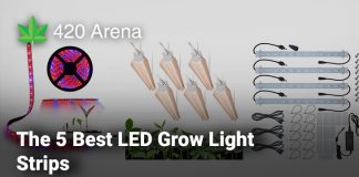 The 5 Best LED Grow Light Strips