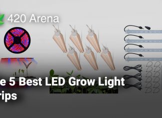 The 5 Best LED Grow Light Strips