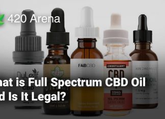 What is Full Spectrum CBD Oil and Is It Legal