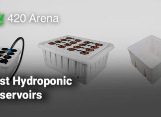 Best Hydroponic Reservoirs