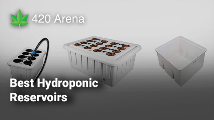 Best Hydroponic Reservoirs
