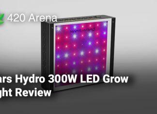 Mars Hydro 300W LED Grow Light Review