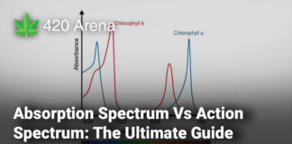 Absorption Spectrum Vs Action Spectrum