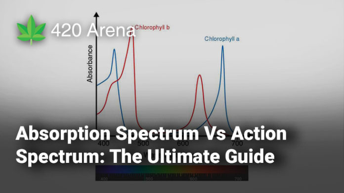 Absorption Spectrum Vs Action Spectrum