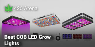 Best COB LED Grow Lights