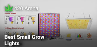 Best Small Grow Lights