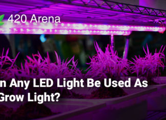 Can Any LED Light Be Used As A Grow Light