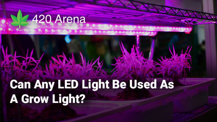 Can Any LED Light Be Used As A Grow Light
