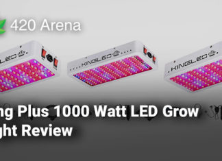 King Plus 1000 Watt LED Grow Light Review