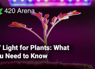 UV Light for Plants