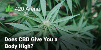 Does CBD Give You a Body High