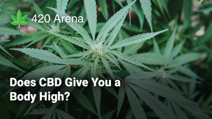 Does CBD Give You a Body High