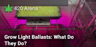 Grow Light Ballasts What Do They Do