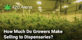 How Much Do Growers Make Selling to Dispensaries