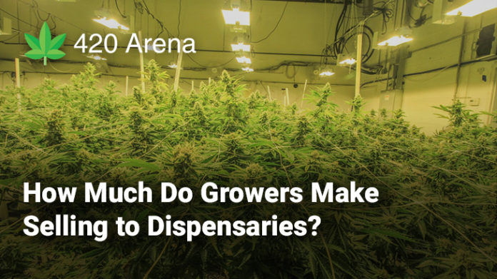 How Much Do Growers Make Selling to Dispensaries