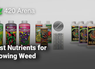 Best Nutrients for Growing Weed